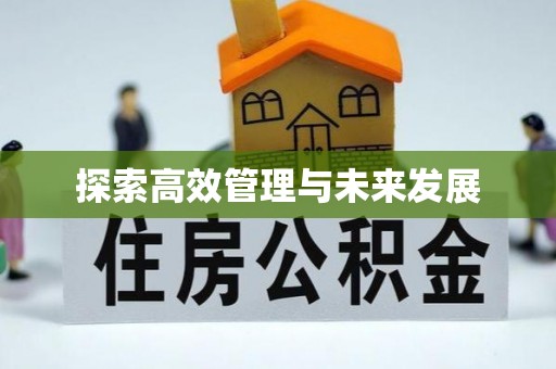 隆林探索高效管理与未来发展