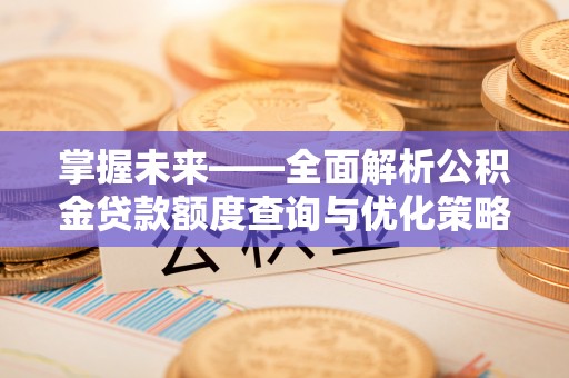 隆林掌握未来——全面解析公积金贷款额度查询与优化策略
