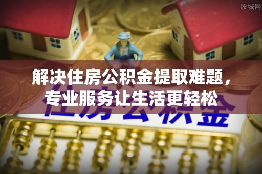 隆林解决住房公积金提取难题，专业服务让生活更轻松