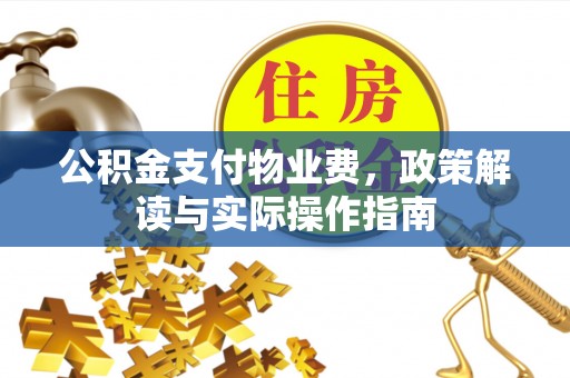 隆林公积金支付物业费，政策解读与实际操作指南