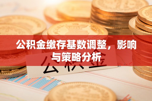 隆林公积金缴存基数调整，影响与策略分析