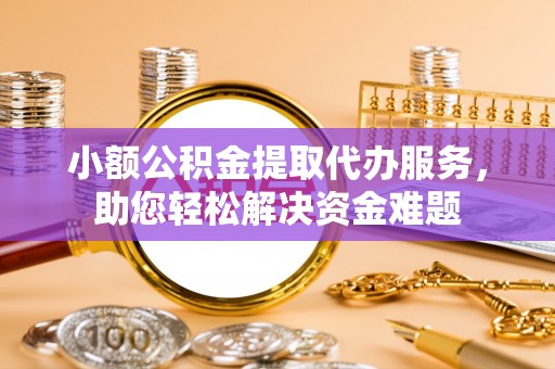 隆林小额公积金提取代办服务，助您轻松解决资金难题