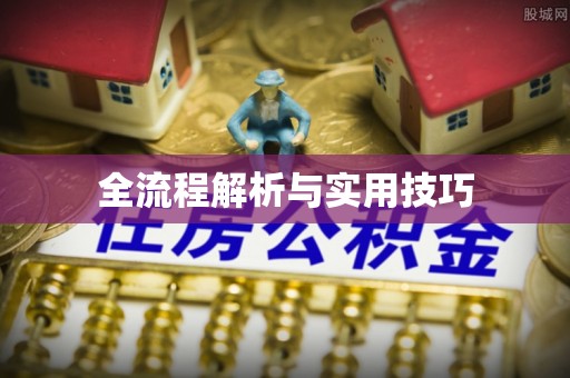 隆林全流程解析与实用技巧