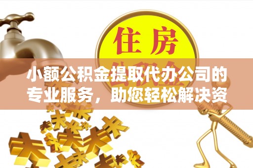 隆林小额公积金提取代办公司的专业服务，助您轻松解决资金难题