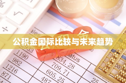 隆林公积金国际比较与未来趋势