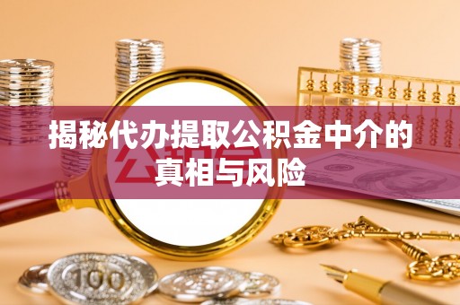 隆林揭秘代办提取公积金中介的真相与风险