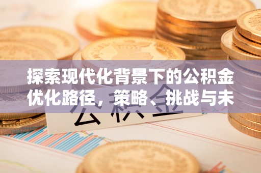 隆林探索现代化背景下的公积金优化路径，策略、挑战与未来展望