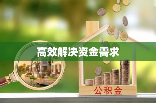 隆林高效解决资金需求