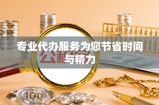 隆林专业代办服务为您节省时间与精力