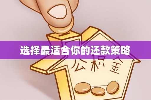 隆林选择最适合你的还款策略